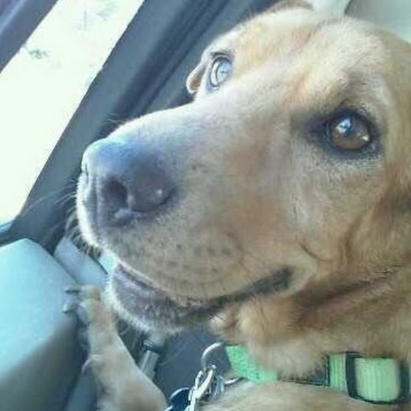 Meet your Posher, Jessica - Picture 1 of 1